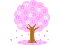 🌸合格者インタビュー(K.Mさん)🌸